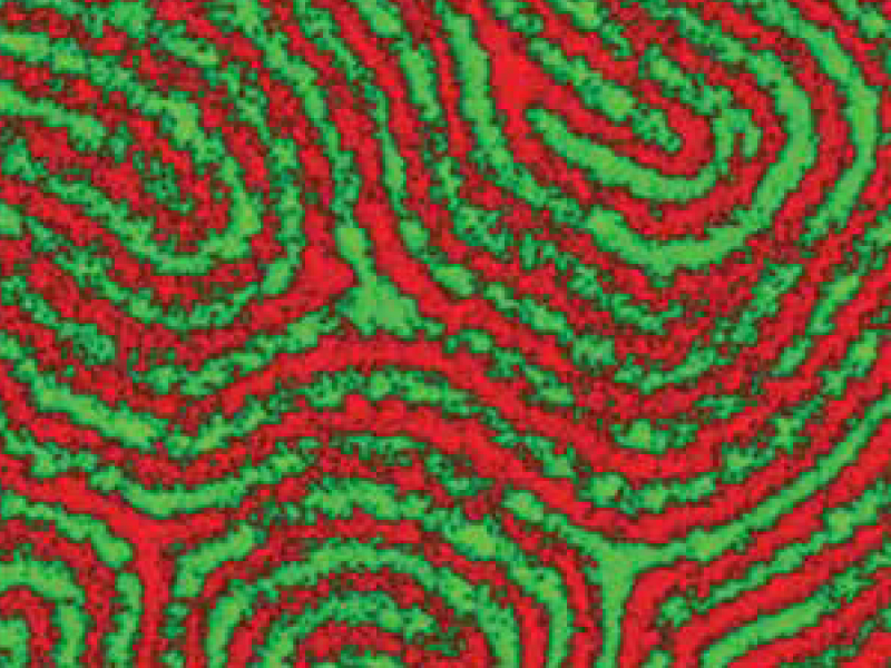 Ps-b-PMMA Block Copolymer sample image