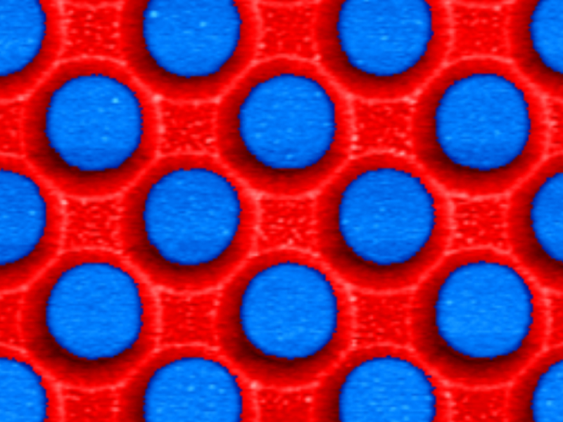 SiO₂/Si Patterns Sample Image